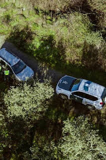 23:48: Seprona en acción: Episodio 4 | Discovery Max | 6/14 2026