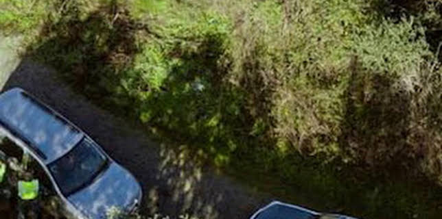 20:08: Seprona en acción: Episodio 4 | Discovery Max | 1/31 2026