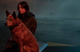 Orphan Black: Echoes: The Dog's Honest Truth