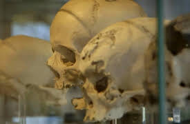 Inside Hitler's Killing Machine: Hitler's Evil Scientists