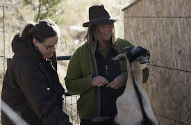 Homestead Rescue: Episode 8