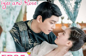 The Romance of Tiger and Rose: The Romance of Tiger and Rose EP05