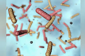 Life in the World's Oceans: The Origin and Diversity of Ocean Life