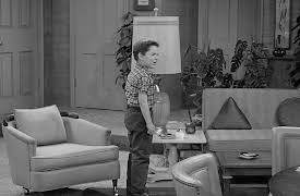 The Dick Van Dyke Show: Season 1: Father of the Week