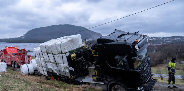 11:00 PM: Ice Road Rescue | Nat Geo Wild | 1/14 2026