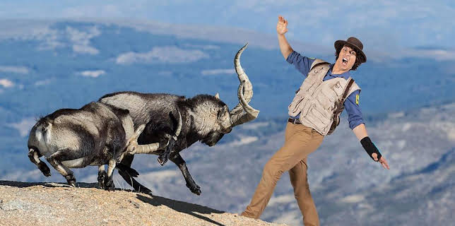 5:05 PM: Andy's Safari Adventures (S1) | Cbeebies | 3/2 2026