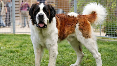 08:25: GEO Reportage | Arte | 4/4 2026