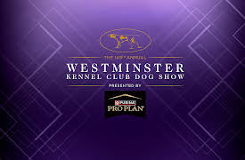 The Westminster Kennel Club Dog Show Season 9: Best of Breeds Day 1