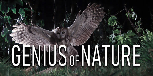 Genius of Nature, Season 1
