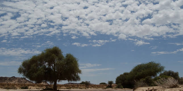 02:40: Die wilden Flüsse Afrikas (2/3) | 3SAT | 1/20 2026