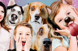 pocket.watch The Stella Show Ultimate mishmash: Stella's Puppy Love!