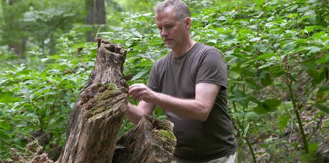 07:45: Verborgene Geheimnisse - Secret Underground | Kabel Eins Doku | 12/4 2025