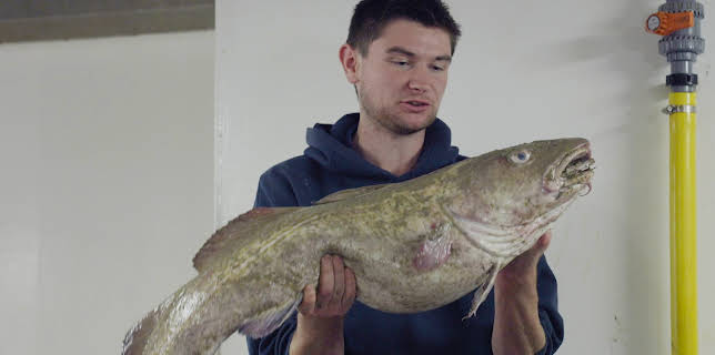 9:00 AM: Trawlermen: Hunting the Catch (S1 E5) (S1) | Yesterday | 12/7 2025