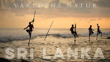 21:00: Världens natur: Sri Lanka | Kunskapskanalen | 6/20 2026