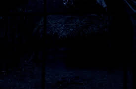 The Vietnam War: A Film By Ken Burns and Lynn Novick Season 1: The History of the World (April 1969-May 1970)