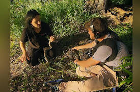 Snake Boss Season 1: All in a Hard Day's Work