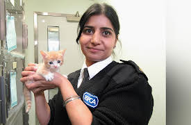 Kitten Rescuers: Episode 5