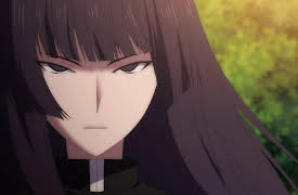 Season 1: A United Strategy Subtitled