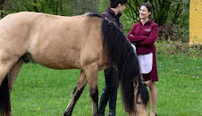 Sturm der Liebe (4512)