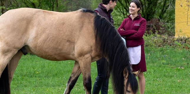 08:05: Sturm der Liebe (4512) | MDR Fernsehen | 12/10 2025