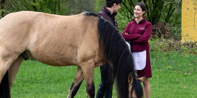 Sturm der Liebe (4512)