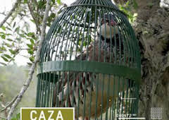 Reclamando en Las Pitiusas