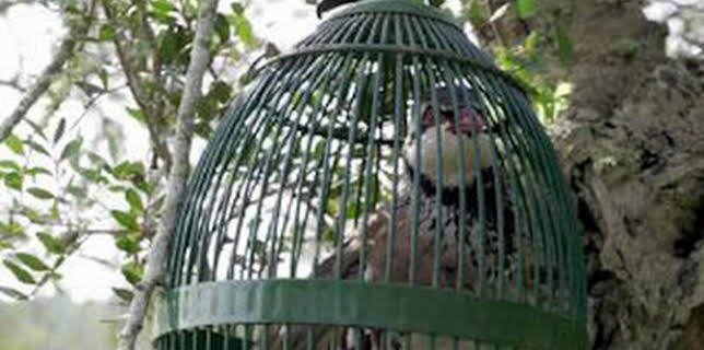 14:20: Reclamando en Las Pitiusas | Caza y Pesca | 12/13 2025