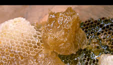 Die Bienenflüsterer