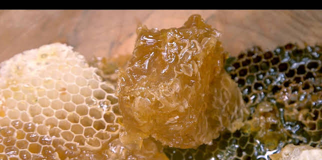 17:25: Die Bienenflüsterer | Arte | 11/11 2025