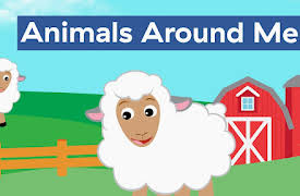 Baby Einstein S1: Animals Around Me