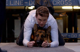 Hudson & Rex Season 1: The Mourning Show