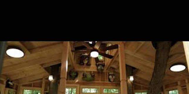 08:15: Mi casa en un árbol: El cuartel general de la naturaleza | Discovery | 2/22 2026