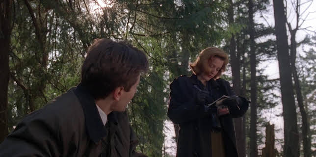 Akte X - Die unheimlichen Fälle des FBI