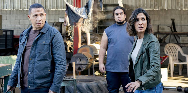 10:10: Navy CIS: L.A. | Kabel Eins | 3/17 2026