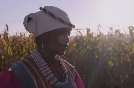 From Scratch: Johannesburg