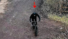 Forensics: The Real CSI