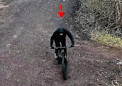 Forensics: The Real CSI