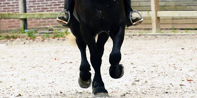 05:55: GEO Reportage | Arte | 1/16 2026