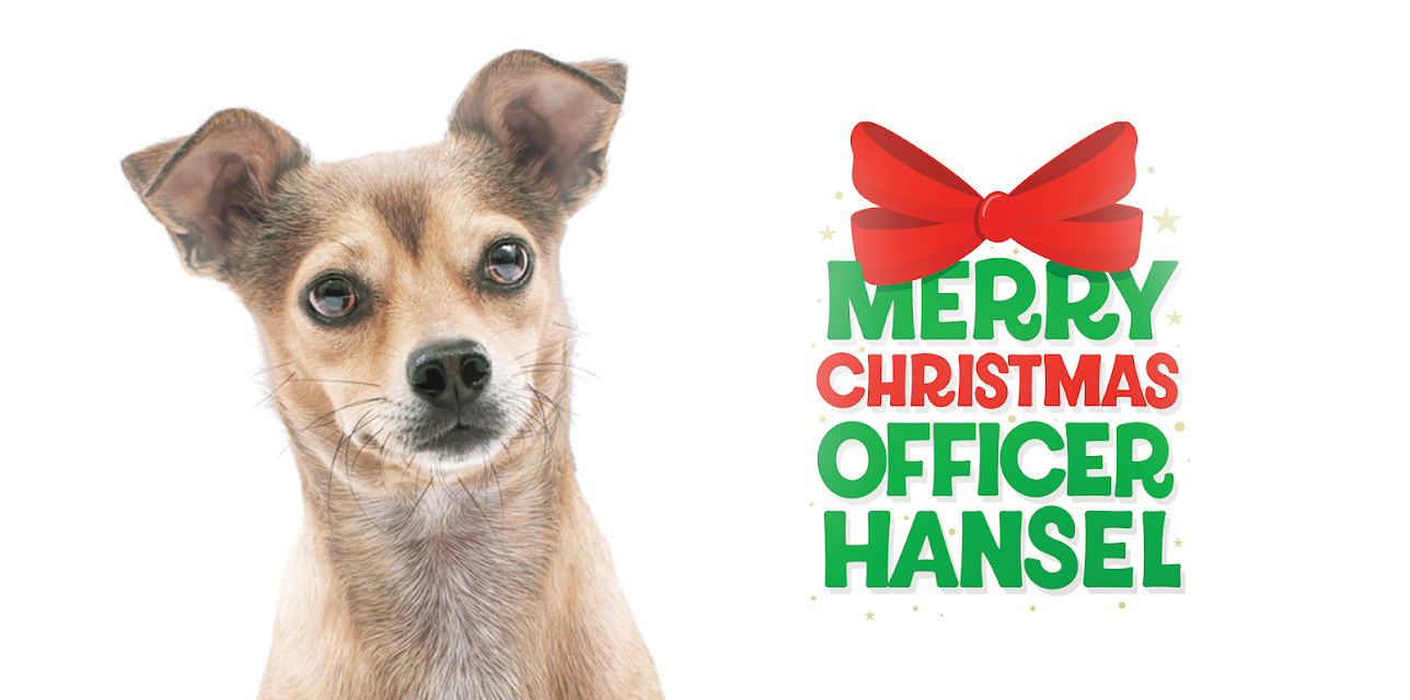 Merry Christmas Officer Hansel (2022)