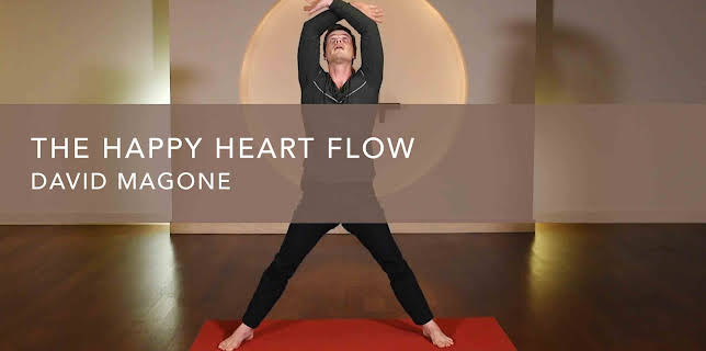 The Happy Heart Flow (2015)