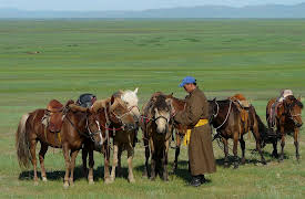 Customs of the World: Using Cultural Intelligence to Adapt, Wherever You Are: Eastern European/Central Asian Cultures