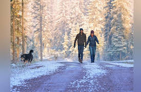 Go North: The End of the Journey