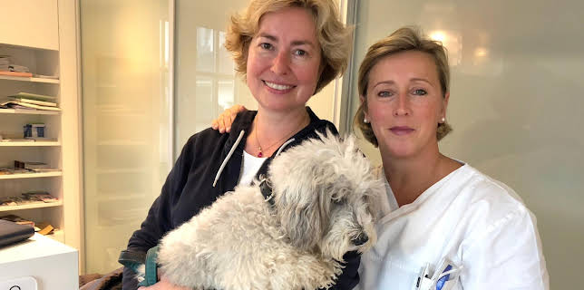 12:15: Die Tierärzte - Retter mit Herz (13) | Das Erste | 1/3 2026