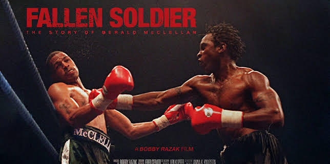 Fallen Soldier (2013)
