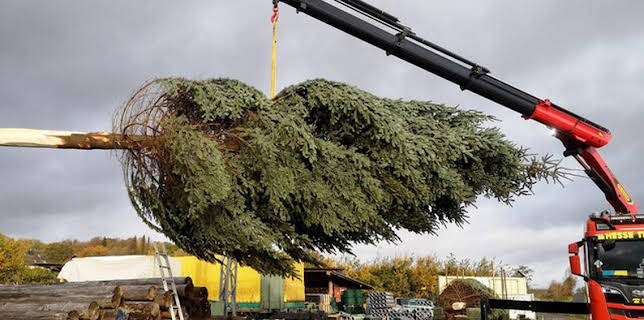 01:45: Die Nordreportage: O Tannenbaum | NDR Fernsehen | 11/27 2025