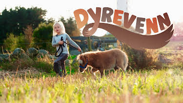 18:05: Dyrevenn: Kattungene med tre bein | NRK Tegnspraak | 6/5 2026