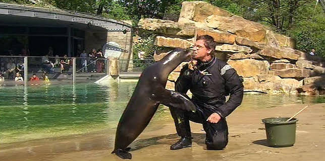 17:05: Panda, Gorilla & Co. | RBB Fernsehen | 1/23 2026