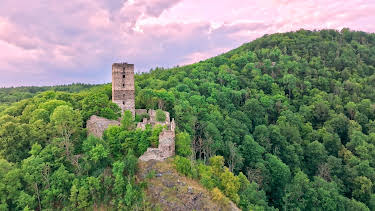 10:00: Der Wanderer im Waldviertel | 3SAT | 8/1 2026