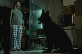 Eli Roth Presents: My Possessed Pet, Season 1: Nitro