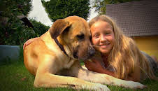 Liebste Fellnasen – Abenteuer Hundeschule